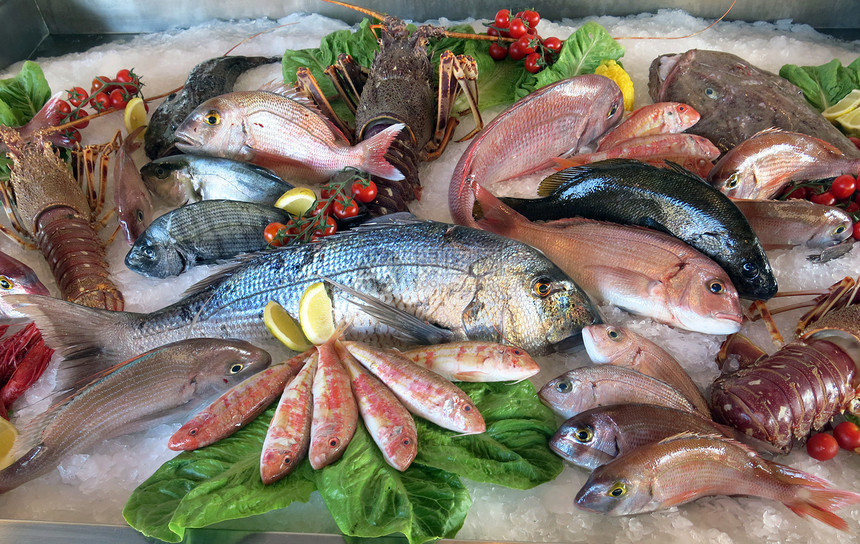 大白海在意大利南部的海鲜餐厅冰箱里大量新鲜咸水鱼图片