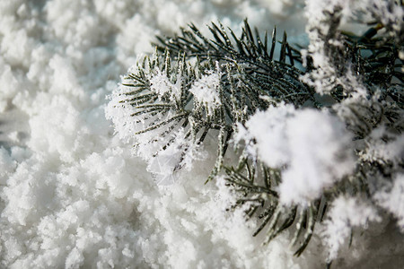 圣诞节背景下雪时在雪中剪图片