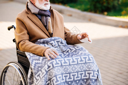 坐在轮椅上双腿盖着格子的长腿老人背景图片
