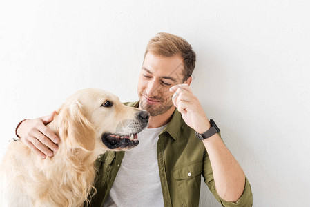 男人在白墙上抚摸金毛猎犬图片