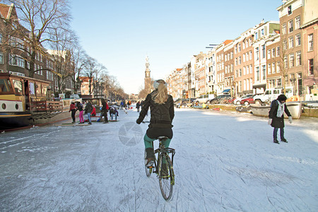 在荷兰阿姆斯特丹的冰图片