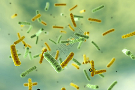 鲍氏水生细菌3D插图饮设计图片