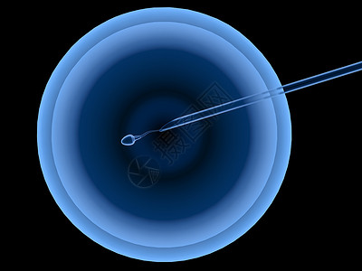 3d配有精子用于人工受精或体外图片
