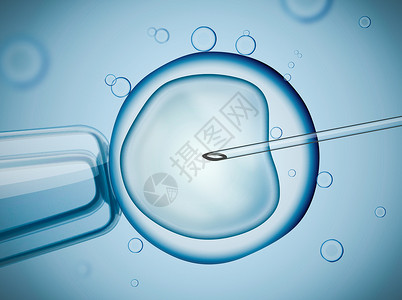 对IVF体外受精的实验室微观研图片