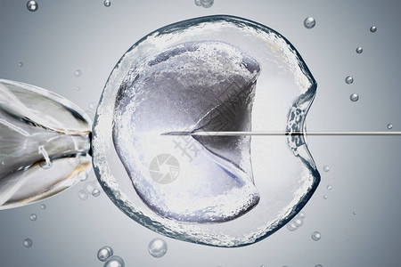 对IVF体外受精的实验室微观研究3图片