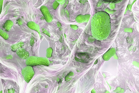 鲍曼不动杆菌的生物膜图片
