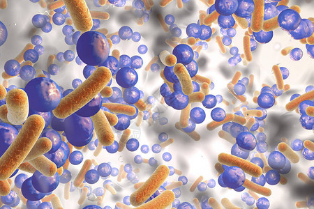 抗生素抗细菌的生物膜杆状和球形细菌大肠杆菌假单胞菌结核分枝杆菌克雷伯氏菌金黄色葡萄球菌耐甲氧西林金黄色葡萄球菌背景图片