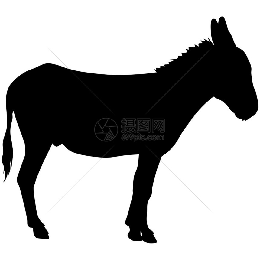 一头驴的剪影黑色插图图片