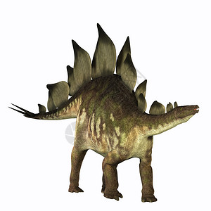 侏罗纪时代的龙恐是食草动物是大型食图片