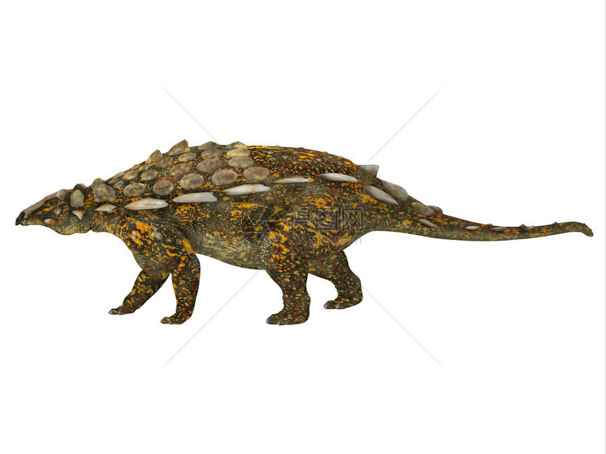 Gargoyleosaur龙是北美怀俄明州侏罗纪时代的甲壳图片