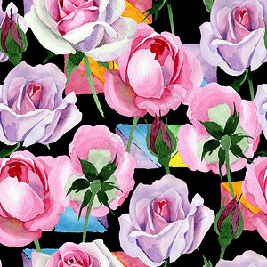 水彩风格的野花嫩粉色玫瑰花朵图案图片