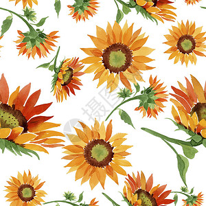 水彩橙色向日葵花卉植物花无缝背景图案织物壁纸打印纹理背景质地包装图案边框背景图片