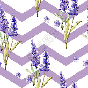 水彩紫色薰衣草花卉植物花无缝背景图案织物壁纸打印纹理背景质地包装图案图片