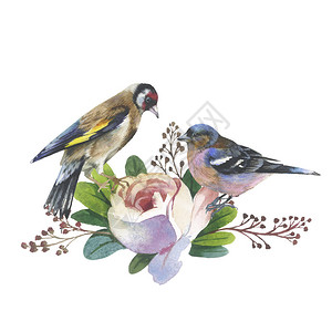 野花玫瑰花和鸟在孤立的水彩风格图片