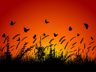 蝴蝶在小麦和树叶间飞舞的剪影图片