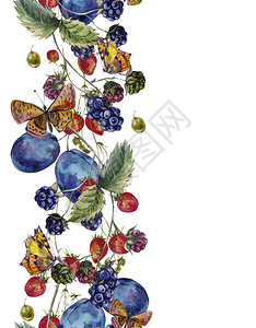 秋收水彩无缝边框与水果和蝴蝶黑莓草图片