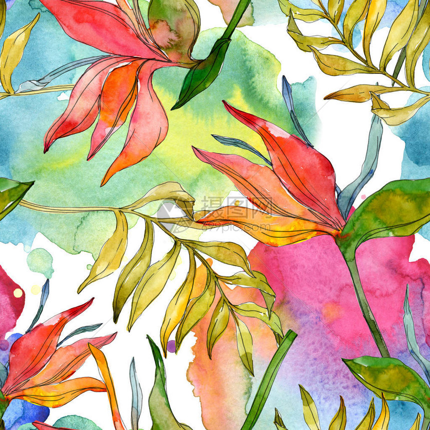 热带花卉植物花异国情调的植物叶分离水彩插图集水彩画时尚水彩画无缝背景图案织物图片