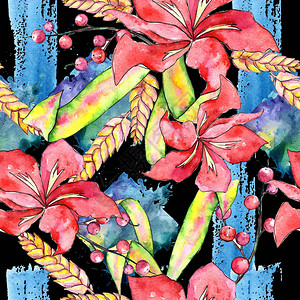 水彩风格的热带植物图案背景纹理包装图案框架或边框图片