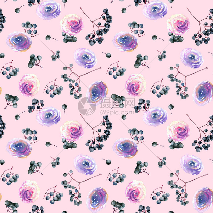 粉红水彩紫玫瑰花和大莓树枝无缝手画在图片