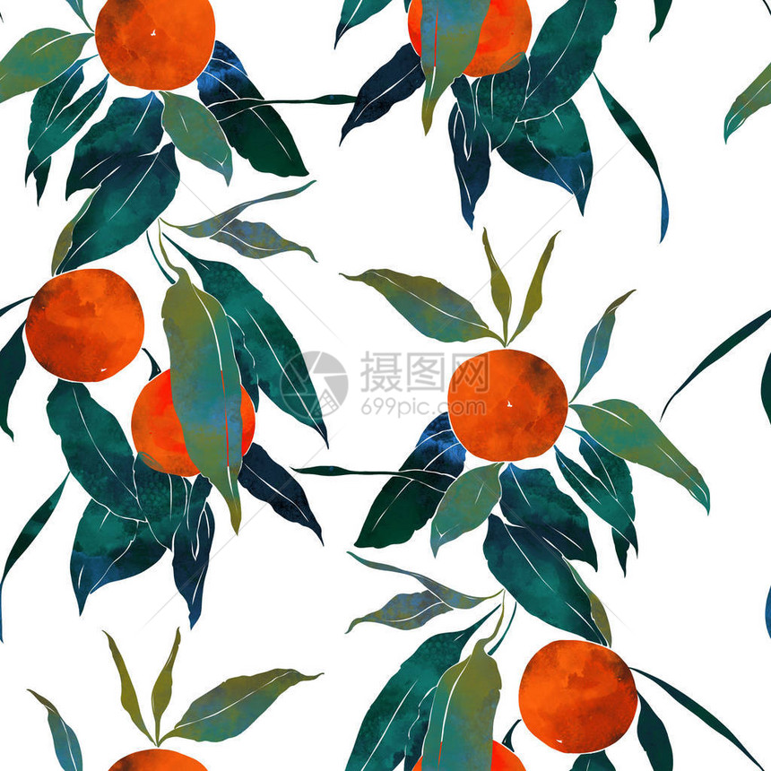 带水果和叶子的亚热带柑橘树图片