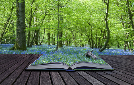 让我想想包含蓝铃木林溢出和融入背景的魔法书的内容设计图片