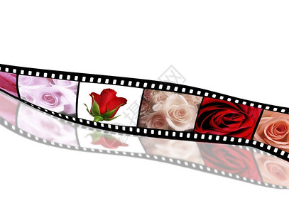 电影胶片上的玫瑰系列图片