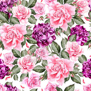 牡丹花和玫瑰的水彩图案插图图片
