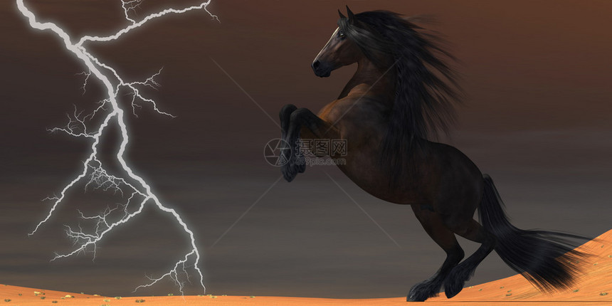 雷雨中的一道闪电会吓跑一匹荒野的马图片