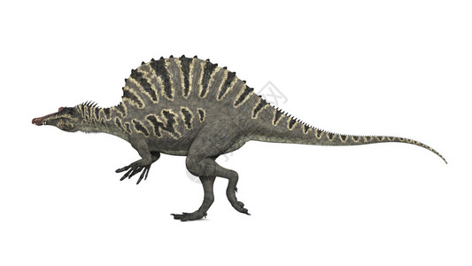 脊椎龙是原生恐龙的基因它生活图片