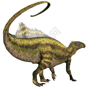 腱龙是一种生活在北美白垩纪的鸟脚类食草恐龙背景图片