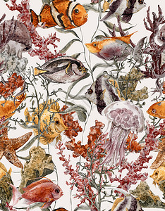 水彩海生物无缝背景水下生颜色图海藻星鱼珊瑚阿尔盖耶lyfis背景图片