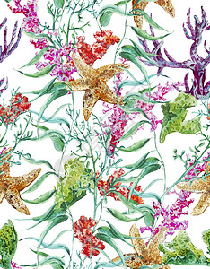 阿丽拉咸海生物无缝模式海藻星和珊插画