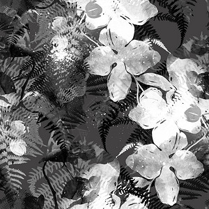 热带兰花和羽毛混合了重复的无缝图案数字手绘照片带图片