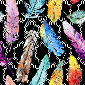 从翅膀的水彩鸟羽毛图案背景纹理包装图案框架或边框图片