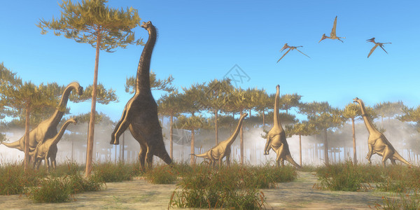 腕龙是生活在北美侏罗纪时代的草食蜥脚类恐龙图片