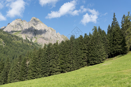 多洛米特山脉森林和草地圣马丁诺背景图片