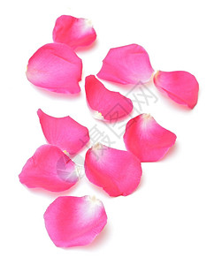 粉红色玫瑰花瓣的抽象背景背景图片