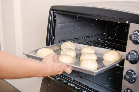 烤盘中的面包团准备在烤箱中烘烤图片