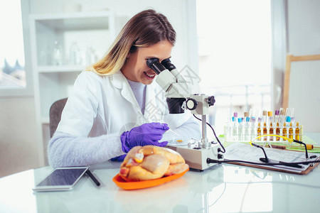 女食品质量控制专家利用显微镜对实验室的肉类样本进行检查图片