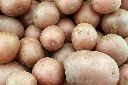 樱桃土豆小荷兰土豆背景图片