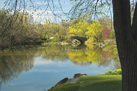 中央公园湖的早春景色图片
