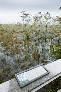 Everglades公园美图片