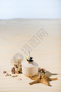 具有复制空间的沙滩上的椰子鸡尾酒海星背景图片