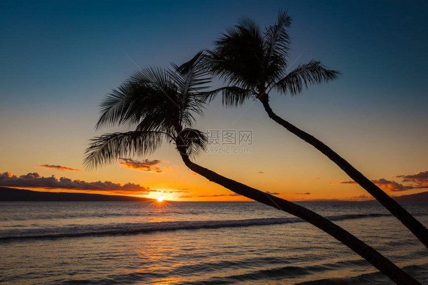 夏威夷西毛伊省卡阿纳帕利海滩日落时两棵图片