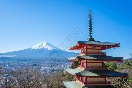 日本东京附近的藤背景图片