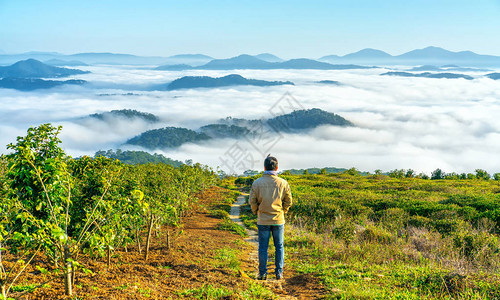 站在高山风景秀丽的农村家乡的剪影年轻人在早晨山谷雾笼罩的山脉若隐现为越南本土的背景图片