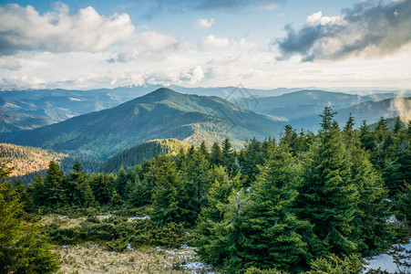 乌克兰喀尔巴阡山脉中的青山林图片