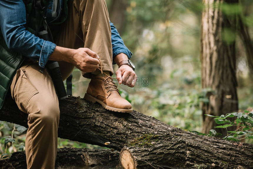 单在森林中徒步时将鞋带系在原木上的男图片