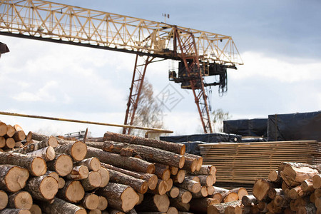 木材加工厂的原木Woodwood图片