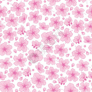 铺满粉色樱花的白色背景图背景图片